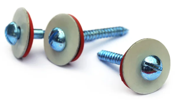 Screw with washer — Stock Photo, Image