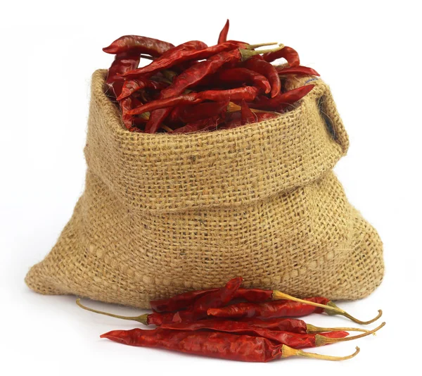 Hot chilli v pytli — Stock fotografie