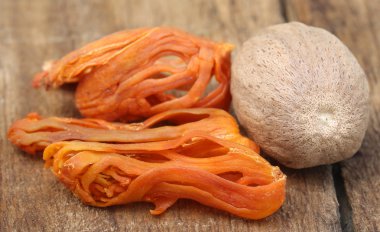 Mace veya javitri baharat