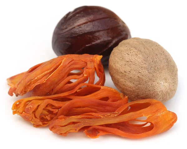 Mace or Javitri Spice with nutmeg — Stock Photo, Image