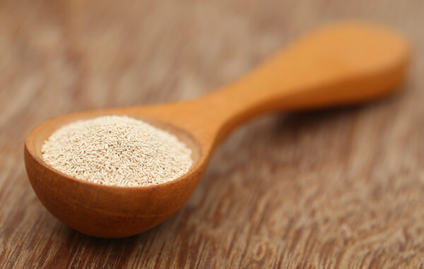 Yeast on a spoon