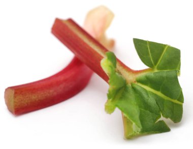 Beyaz arka planda taze ravent.