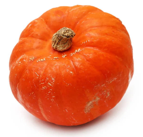 Large Pumpkin White Background — Stock Photo, Image