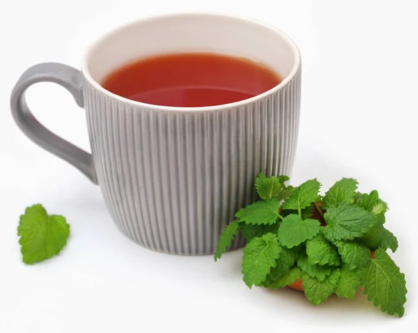 Hojas Bálsamo Limón Con Hierbas Una Taza Sobre Fondo Blanco — Foto de Stock