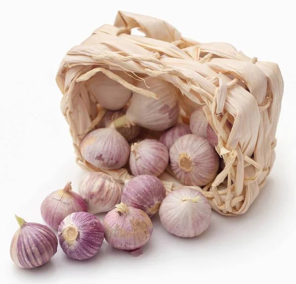 Solo Single Clove Garlic Basket Wite Background — Stock Photo, Image