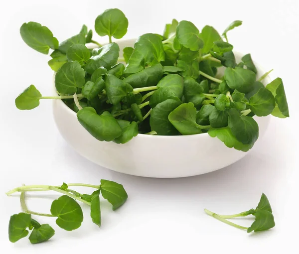 Fresh Organic Watercress Bowl White Background — Stock Photo, Image