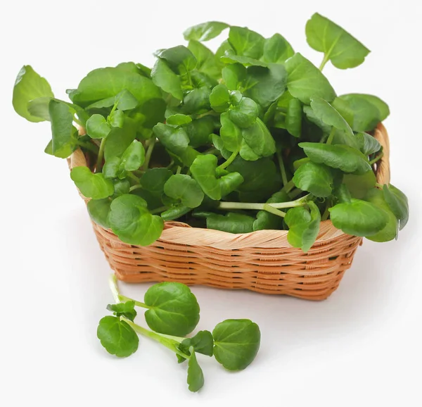 Fresh Organic Watercress Basket White Background — Stock Photo, Image