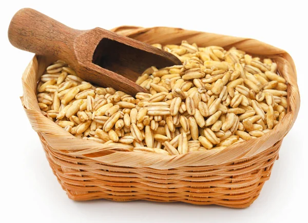 Whole Oats Bowl White Background — Stock Photo, Image