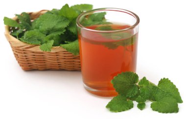 Beyaz arka plan üzerinde şeffaf bir bardakta bitkisel çay ile limon merhemi yaprakları