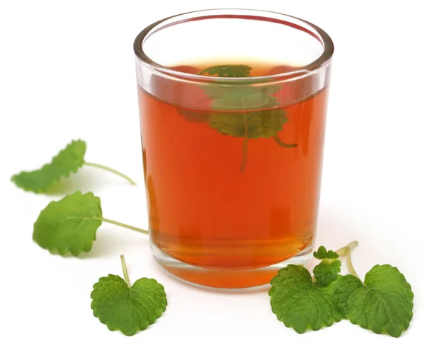 Lemon Balm Leaves Herbal Tea Transparent Glass White Background — ストック写真