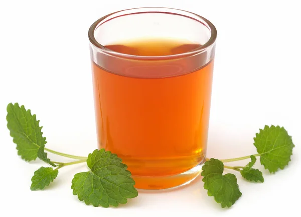 Lemon Balm Leaves Herbal Tea Transparent Glass White Background — ストック写真