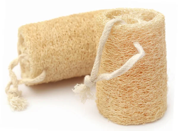 Scrubber Naturale Essiccato Zucca Ridge Sfondo Bianco — Foto Stock