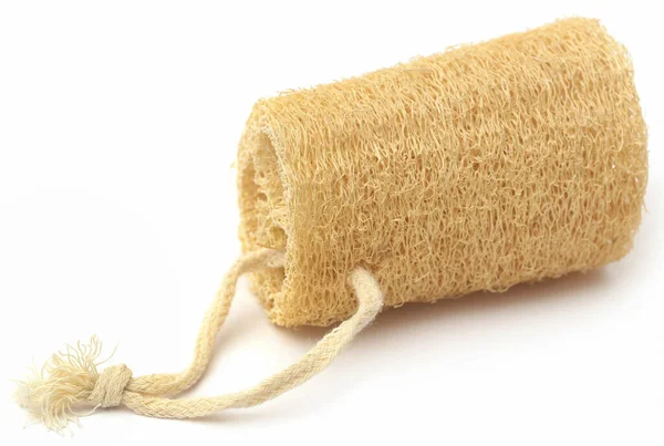 Natural Scrubber Dried Ridge Gourd White Background — Stock Photo, Image