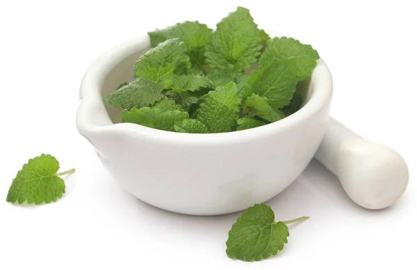 Lemon Balm Fresh Organic Mortar Pestle White Background — ストック写真