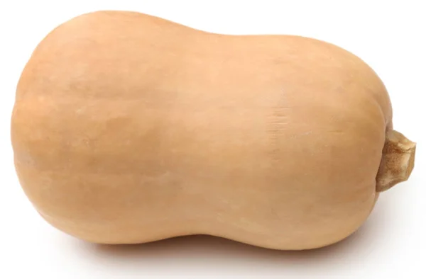 Butternut Squash White Background — ストック写真