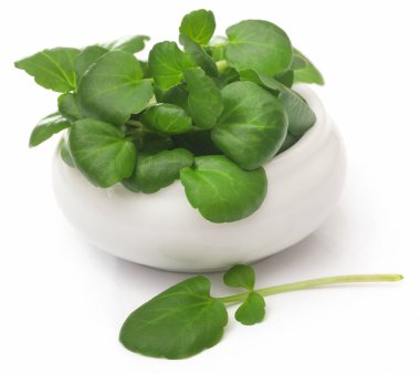 Beyaz arka planda taze organik su teresi