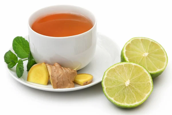 Herbal Tea Different Herbs Ingredient — Foto de Stock