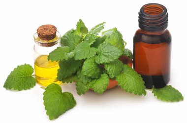 Limon yağı yaprakları ve beyaz arka planda çıkarılmış yağlar.