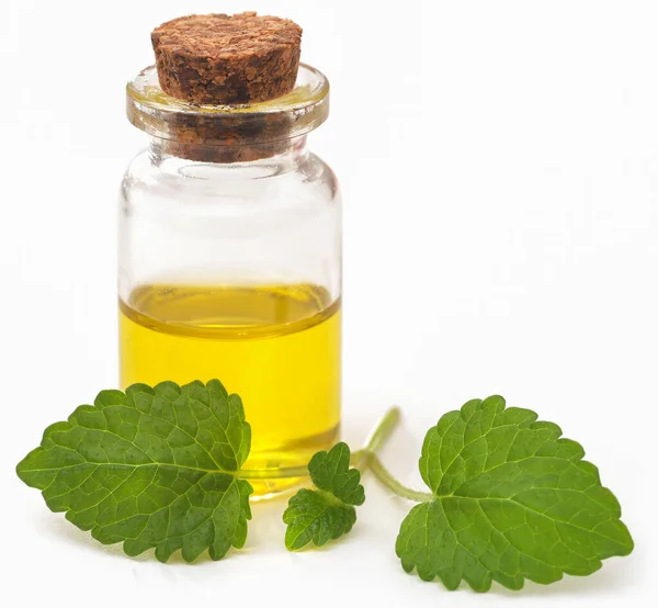 Lemon Balm Leaves Extracted Essential Oil Bottle White Background — Zdjęcie stockowe