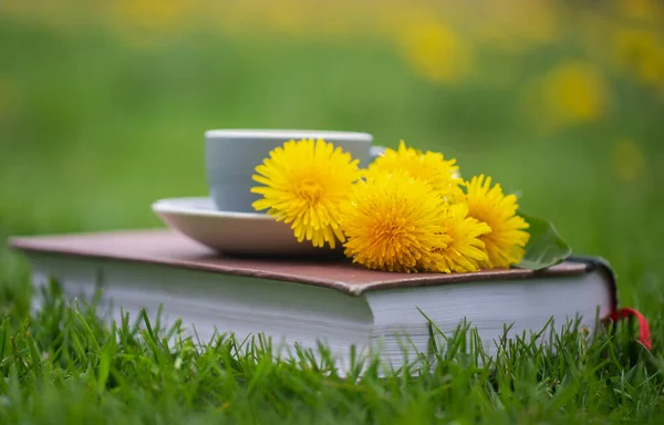 本のある花畑のハーブタンポポのお茶 — ストック写真