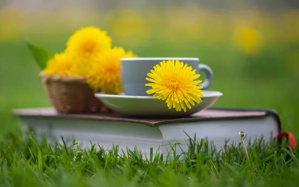 Herbal Dandelion Tea Flower Garden Book — ストック写真
