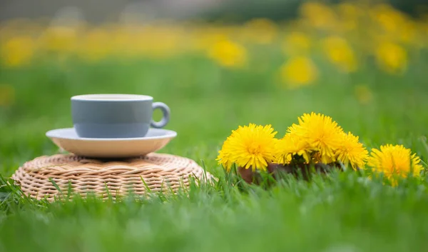 Herbal Dandelion Tea Flower Garden — ストック写真