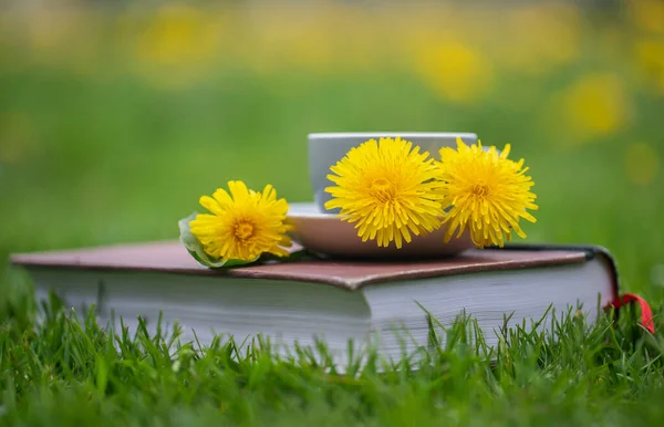 本のある花畑のハーブタンポポのお茶 — ストック写真