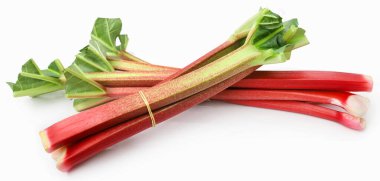 Taze ravent sapı ve beyaz arkaplanda yapraklar