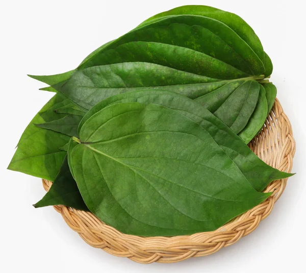 Eetbare Betel Bladeren Vers Biologisch Witte Achtergrond — Stockfoto