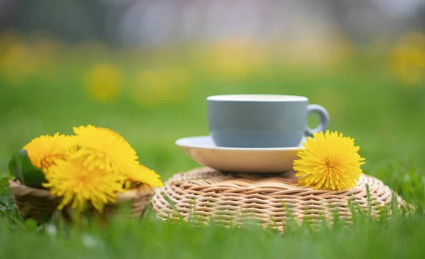 Herbal Dandelion Tea Flower Garden — ストック写真