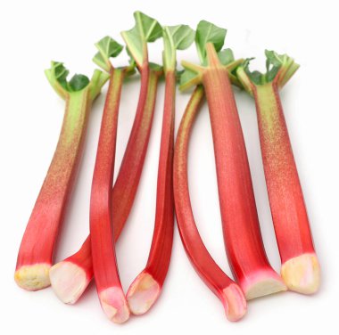 Beyaz arka planda taze ravent.