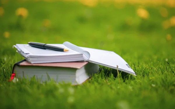 Organizador Libro Aire Libre Hierba Parque —  Fotos de Stock