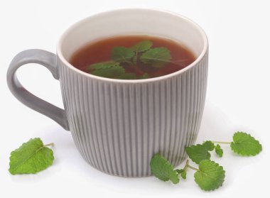 Beyaz arka planda bitkisel çaylı limon yaprakları.