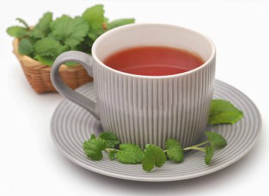 Beyaz arka planda bitkisel çaylı limon yaprakları.