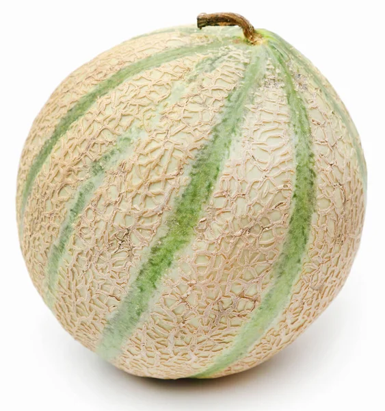 Cantaloupe Rockmelon White Background — 스톡 사진