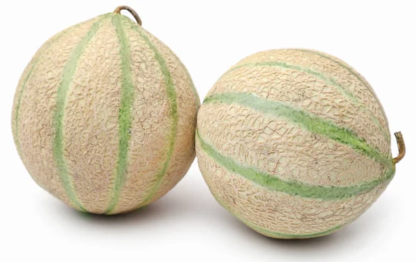 Cantaloupe Rockmelon White Background — Stock Photo, Image