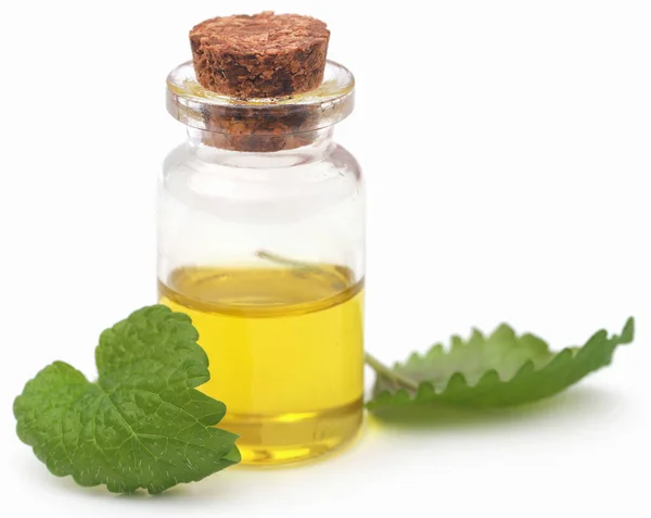 Lemon Balm Leaves Extracted Essential Oil Bottle — Foto de Stock