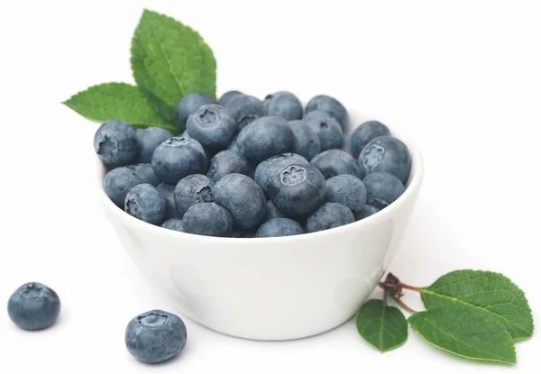 Fresh Blueberries Bowl White Background — 스톡 사진