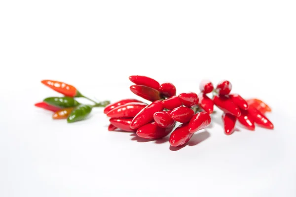 Pepper — Stock Photo, Image