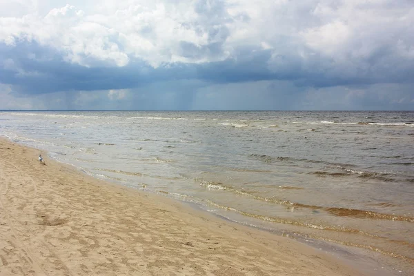 Вид на пляжі Балтійського моря, Латвія — стокове фото