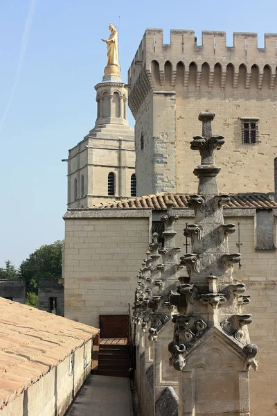 Vista sobre o Notre Dame des Doms Palais des Papes, Avignon, França — Fotografia de Stock