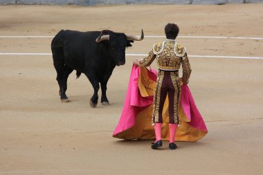 Torero