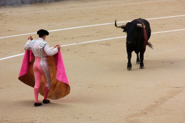 Torero