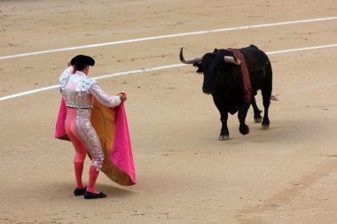 Torero