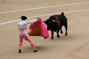 Torero