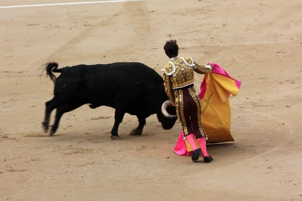 Torero — Stok fotoğraf