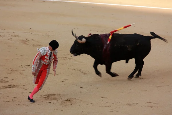 Torero — Foto Stock