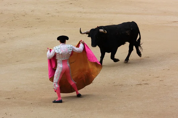 Torero — Foto Stock