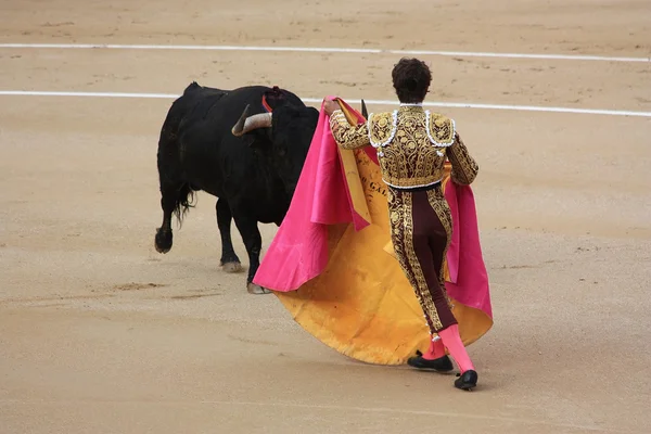 Torero — Foto Stock