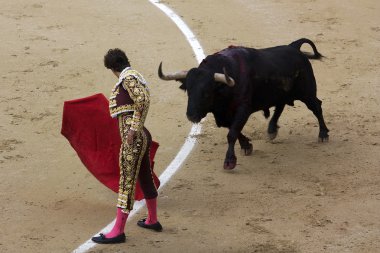 Torero
